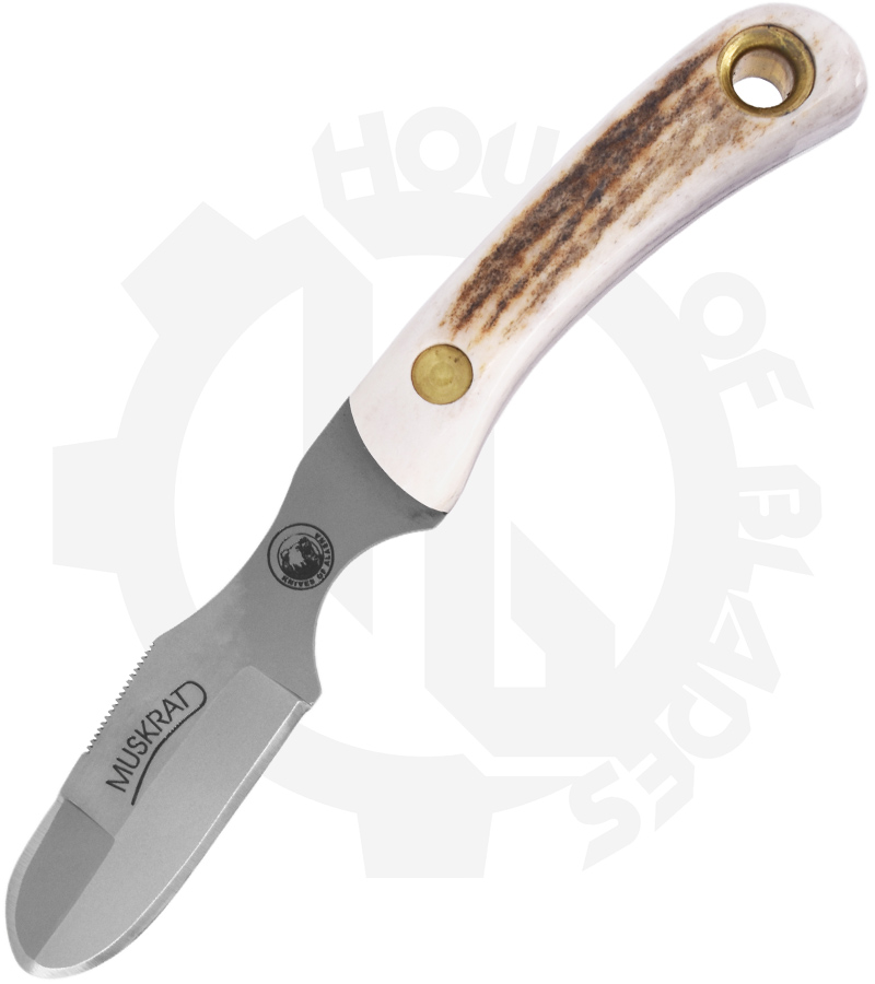 Knives of Alaska Muskrat Stag 00091FG - Stag