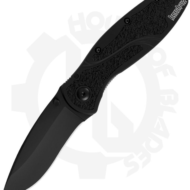 Kershaw Blur 1670BLK