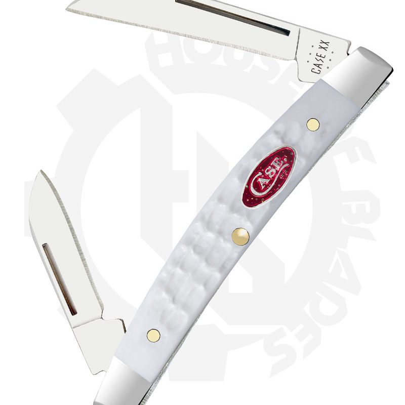 Case Small Congress 60198