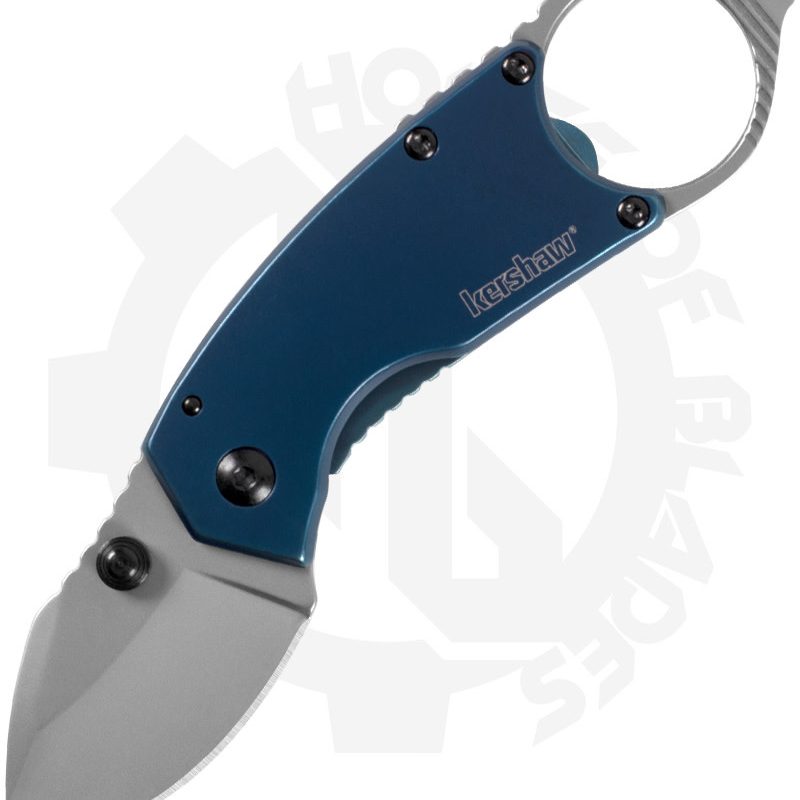 Kershaw Antic 8710 – Blue