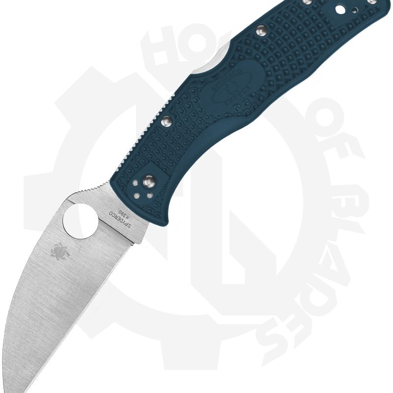Spyderco Endela C243FPWK390 - Blue, FRN