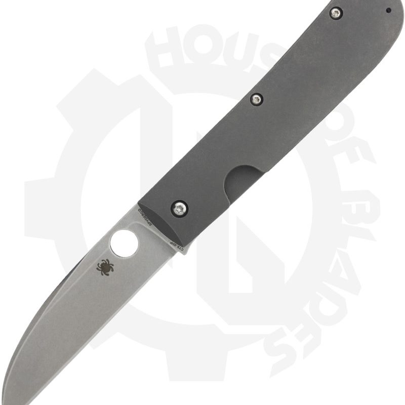 Spyderco Swayback C249TIP - Titanium