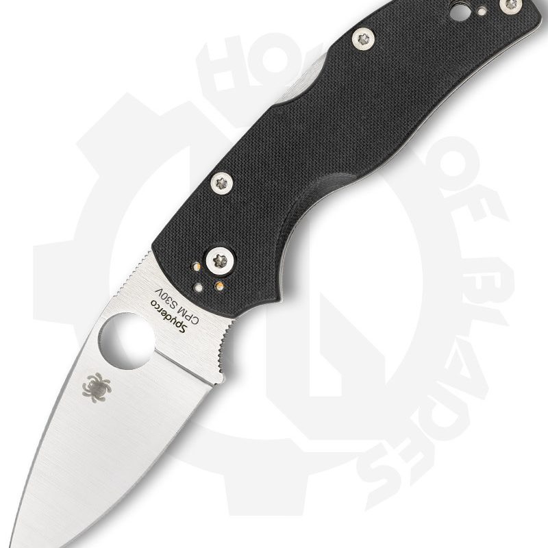 Spyderco Native 5 C41GP5 - Black, G-10
